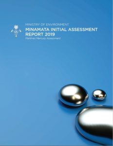 Minamata Initial Assessment Report 2019