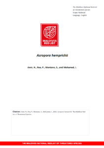 Maldives Red List: Acropora Hemprichii