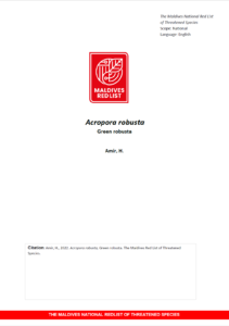 Maldives Red List: Acropora Robusta