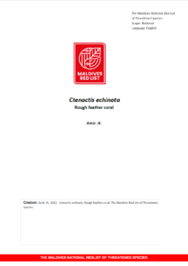 Maldives Red List: Ctenactis Echinata