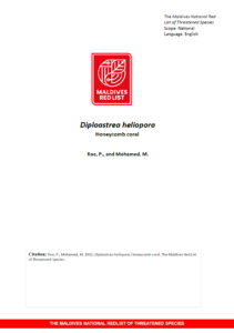 Maldives Red List: Diploastrea Heliopora