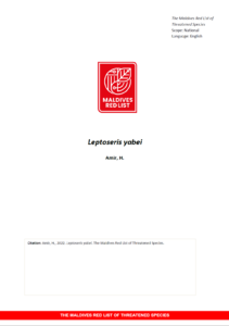 Maldives Red List: Leptoseris Yabei
