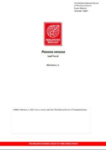 Maldives Red List: Pavona Venosa