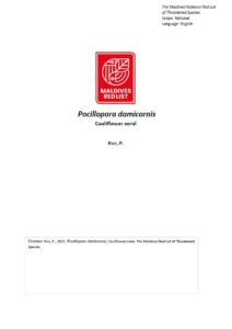 Maldives Red List: Pocillopora Damicornis