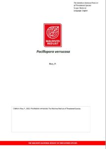 Maldives Red List: Pocillopora Verrucosa