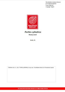 Maldives Red List: Porites Cylindrica
