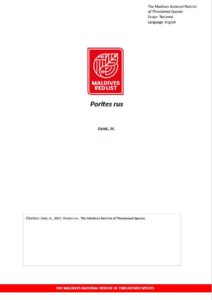 Maldives Red List: Porites Rus
