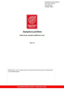 Maldives Red List: Stylophora Pistillata