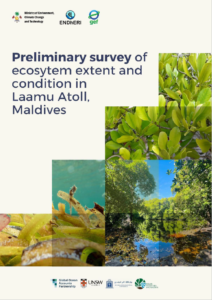 Scoping Report On Ecosystem Extent and Condition in Laamu Atoll