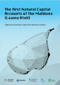 ENDhERI NCA High level summary report