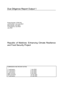 Due Diligence Report Output 1