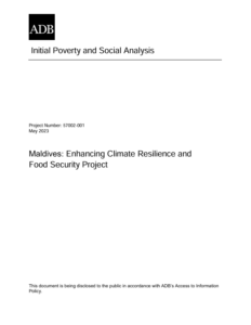 Initial Poverty and Social Analysis